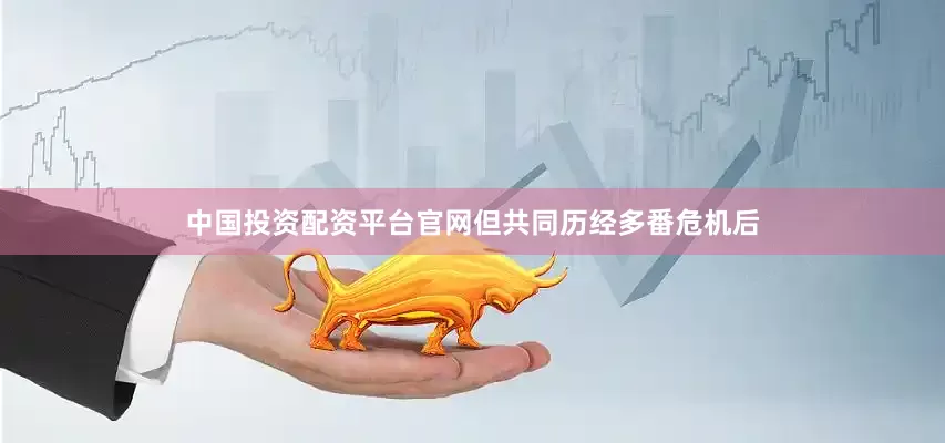 中国投资配资平台官网但共同历经多番危机后
