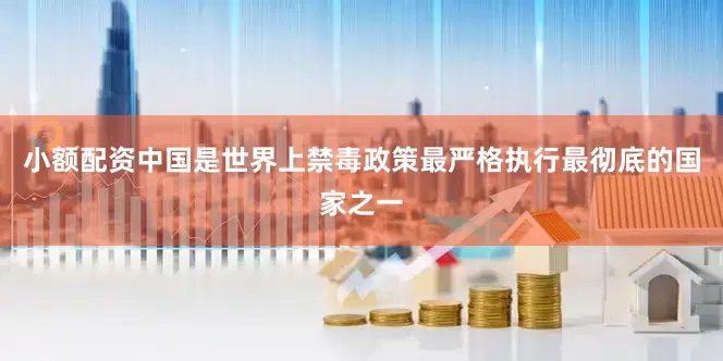 小额配资中国是世界上禁毒政策最严格执行最彻底的国家之一