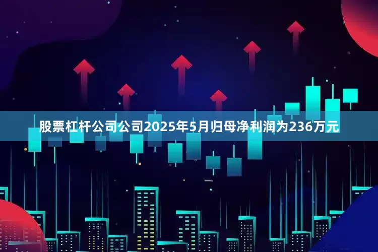 股票杠杆公司公司2025年5月归母净利润为236万元