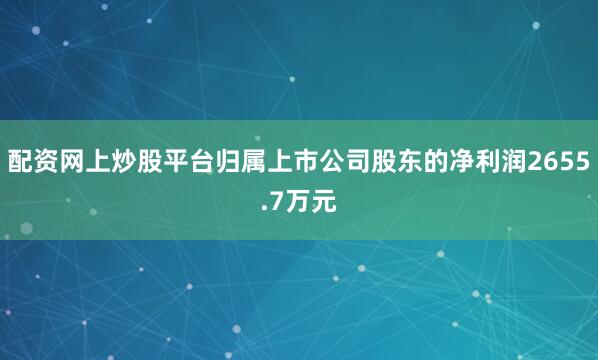 配资网上炒股平台归属上市公司股东的净利润2655.7万元