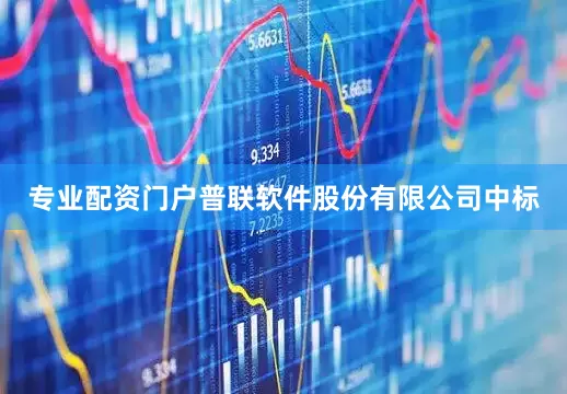 专业配资门户普联软件股份有限公司中标