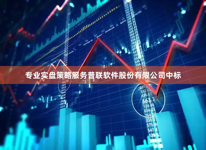 专业实盘策略服务普联软件股份有限公司中标