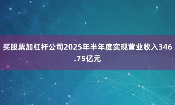 买股票加杠杆公司2025年半年度实现营业收入346.75亿元