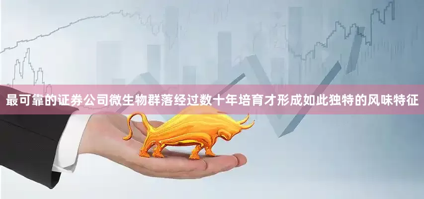 最可靠的证券公司微生物群落经过数十年培育才形成如此独特的风味特征