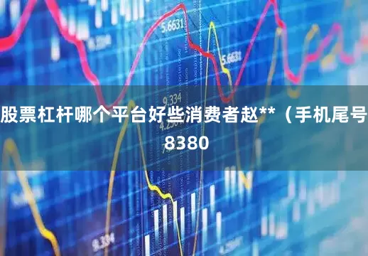 股票杠杆哪个平台好些消费者赵**（手机尾号 8380