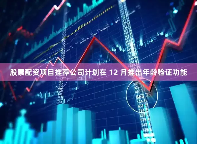 股票配资项目推荐公司计划在 12 月推出年龄验证功能